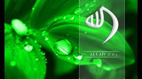 تلاوة مميزة بصوت خاشع .. ففروا الى الله ..