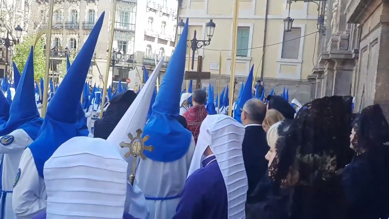 Semana Santa 2025 - Domingo de Ramos - Entrada