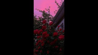 Recuerdos// Junior 831 Ft. El Yusak (La Santa Grifa)//(Slowet Beats) screenshot 1