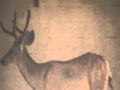 2 bucks in a garage