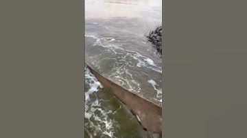 Xả Nước Vuông Tôm Bắt Được Những Gì?