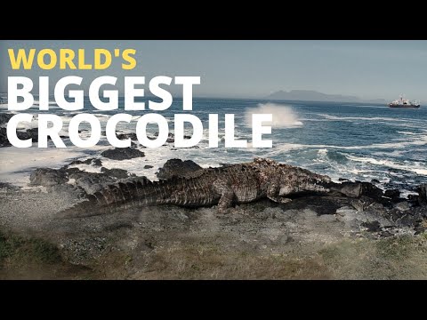 World's Biggest Crocodile Found in Ocean!! Resident Evil Netflix!!