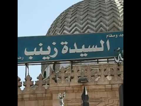 انا ضيف زينب