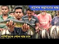শোল মাছ চাষ পদ্ধতি। লাভজনক মাছ চাষ। অধিক গণত্বে মাছ চাষ #fish #farming #fishing