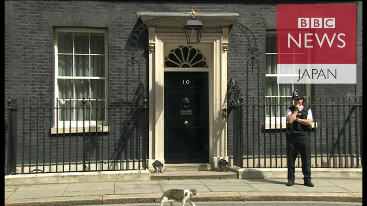 英首相官邸の猫ラリーは残留 Youtube
