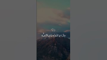 لا تقاطع القرآن 🔉 🎧 🤍 #قران #قران_كريم #تلاوة_خاشعة