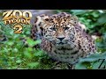 Zoo Tycoon 2 Exhibit Speed Build || Amur Leopard