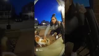 see the video at the end 😮 #video #viral #random