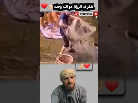 حين يشاء الله رزقك يأتيك ولو من دون سعي
