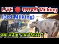 Now Live 🔴 3rd Milking. Saraswati Buffalo. Owner-Pavitar Singh.