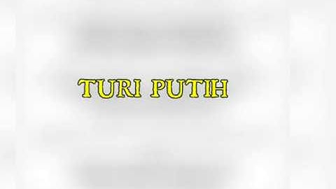 Turi Putih (Sholawat Badar) - Balindra Java