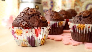 CHOCOLATE MUFFINS 🧁 🍫