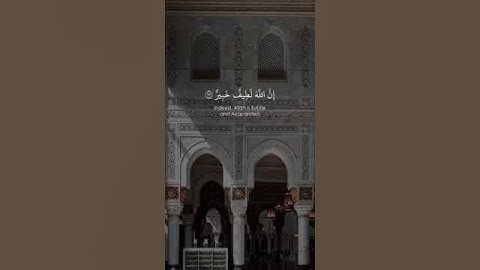 الشيخ #ياسر_الدوسري ماتيسر من سوره الحج بصوت جميل تقشعر لها الأبدان 🥀💖