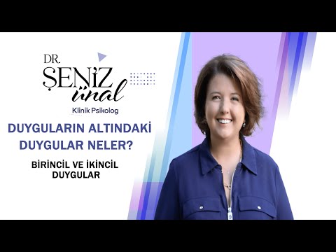 DUYGULARIN ALTINDAKİ DUYGULAR NELER ?