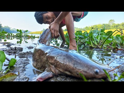 Unbelievable Fishing By Hand. Traditional Boy Is Fishing From The Bank Of The River In The Morning