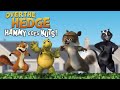 Youtube Thumbnail title