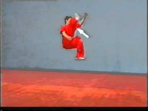 Part 2 - Difficulty of Movements - Degree B (Chang Quan, Dao Shu, Jian Shu, Qiang Shu, Gun Shu)