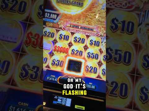 $9,600 Bet On Baccarat #gambling #casino