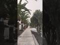 31st march at 8.00am Los cristinos #travel #canaryislands #tenerife #tenerifeisland
