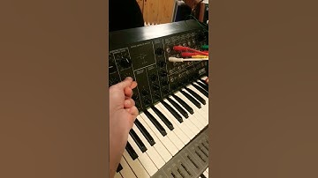 korg sq1 séquence and korg ms20