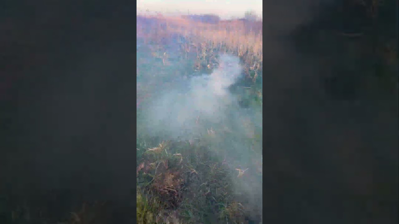 Тест петарды black mamba 55 грамм в земле 