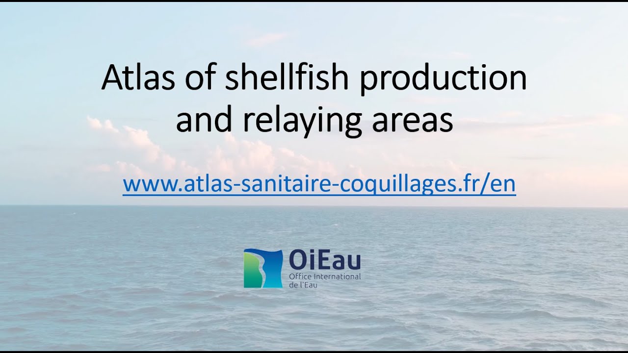 Presentation of the Atlas of shellfish production and relaying areas ...