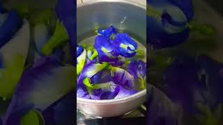 #aparajita #flowertea #zubeengarg #songs Thumb