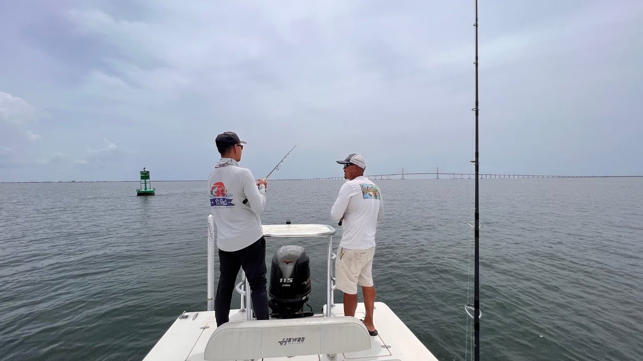 Fishing Tampa Bay Shipping Channel Nonstop Action! YouTube