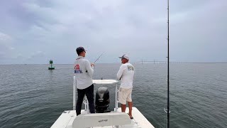 Fishing Tampa Bay Shipping Channel - Non-stop Action!