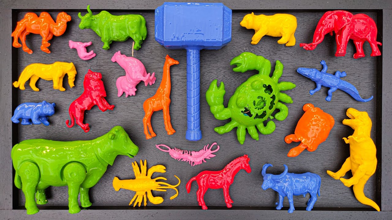 Membersihkan hewan sapi, bebek, angsa, ayam, gajah, simpanse, singa, unta, buaya, kangguru