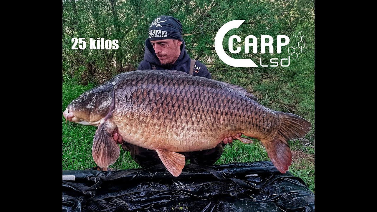 Le pirate frappe encore !!! Mathieu-poc et une coco de 25 kilos.