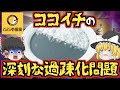 【ゆっくり解説】閉店寸前!?ココイチの客離れが進んでいる本当の理由がやばすぎた..!?