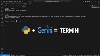 Build a Python TERMINAL Chatbot in Minutes!