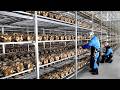 Farming Is Science Too The Fresh Vegetable Growing Process Designed By Korean Scientists 