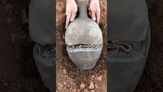 found a treasure #satisfying #gold #metal Detector #adventure treasure #hidden treasure found