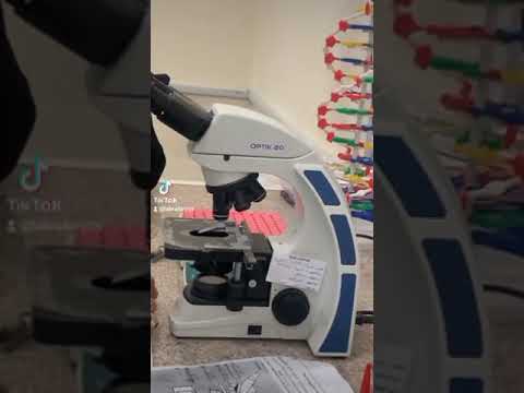أجزاء المجهر الضوئي