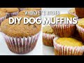 2 Simple DIY Muffins for Dogs 🍌🐕🐾 | HOMEMADE DOG TREATS 🐶 | WHISKOPETS KITCHEN 😘