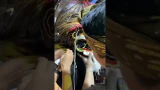 Pura Taman Segara ,Intaran Sanur