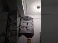 Exprestasi bulu baru gacor dor.burung udh on banget full set promo aja (Jonath mhjr 083811833431)