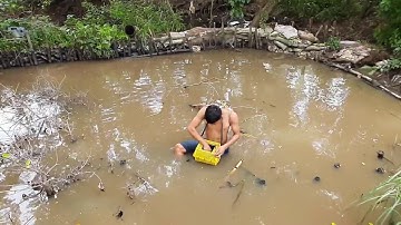 Vợ Chồng Miền Tây Bẫy Rắn Mưu Sinh Và Cái Kết Khi Cuốn Bẫy Về #sănbắtchâuđốc