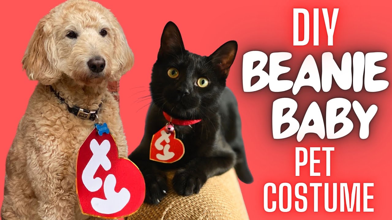 DIY Beanie Baby Halloween Costume for your Pet! 