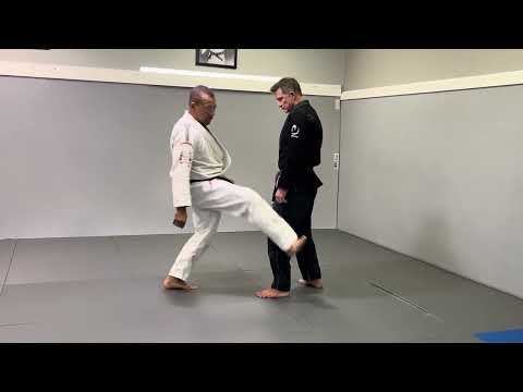 GRACIE JIU JITSU SELF DEFENSE