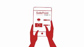 Loomis Safepoint Store