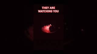 They Are Watching You