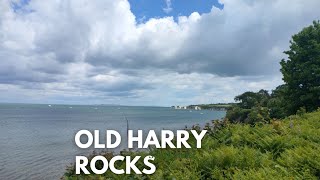 Discover the Majestic Beauty of Old Harry Rocks, Swanage #beachlife #beachvibes #ukbeaches #uk