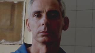 Lavandera Cazamariposas