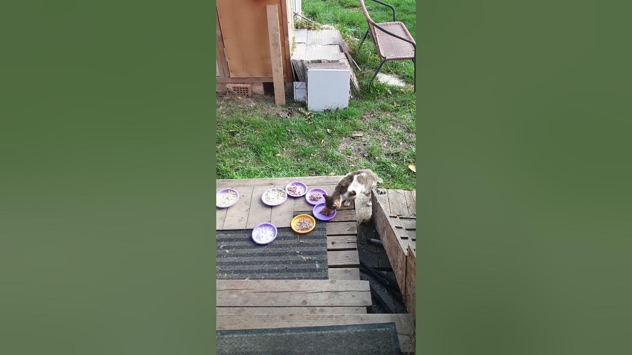 Положу тёплое - YouTube