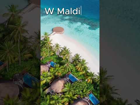 My Maldives
