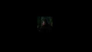 Bigfoot Screams 2 (Scariest audio in the world)