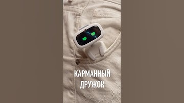 Карманный дружок (умный!! )